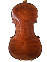 Violina 1 Trbuh Pozadina